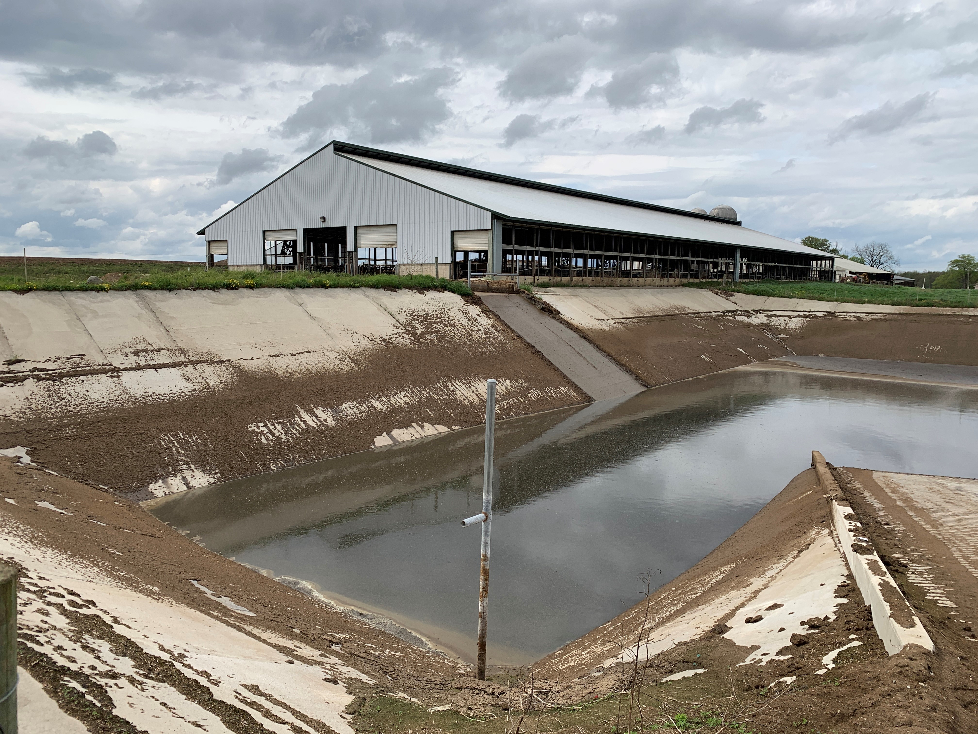 Concrete-lined, in-ground manure storage basin partially filled with liquid manure, with a vertical depth marker in the center. A large dairy barn with open sides sits behind the storage under an overcast sky.